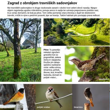 Zgibanka Ptice 2022 WEB 02